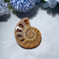 2.5"-3.2" Ammonite Bulk Wholesale