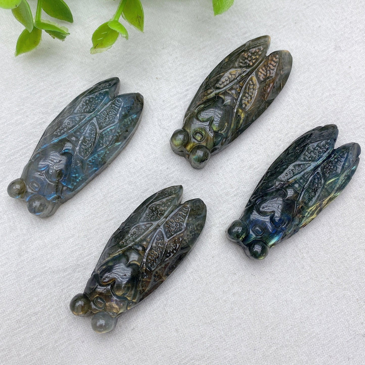 2.0" Blue Flash Red Flash Labradorite Cicada Carvings Bulk Wholesale