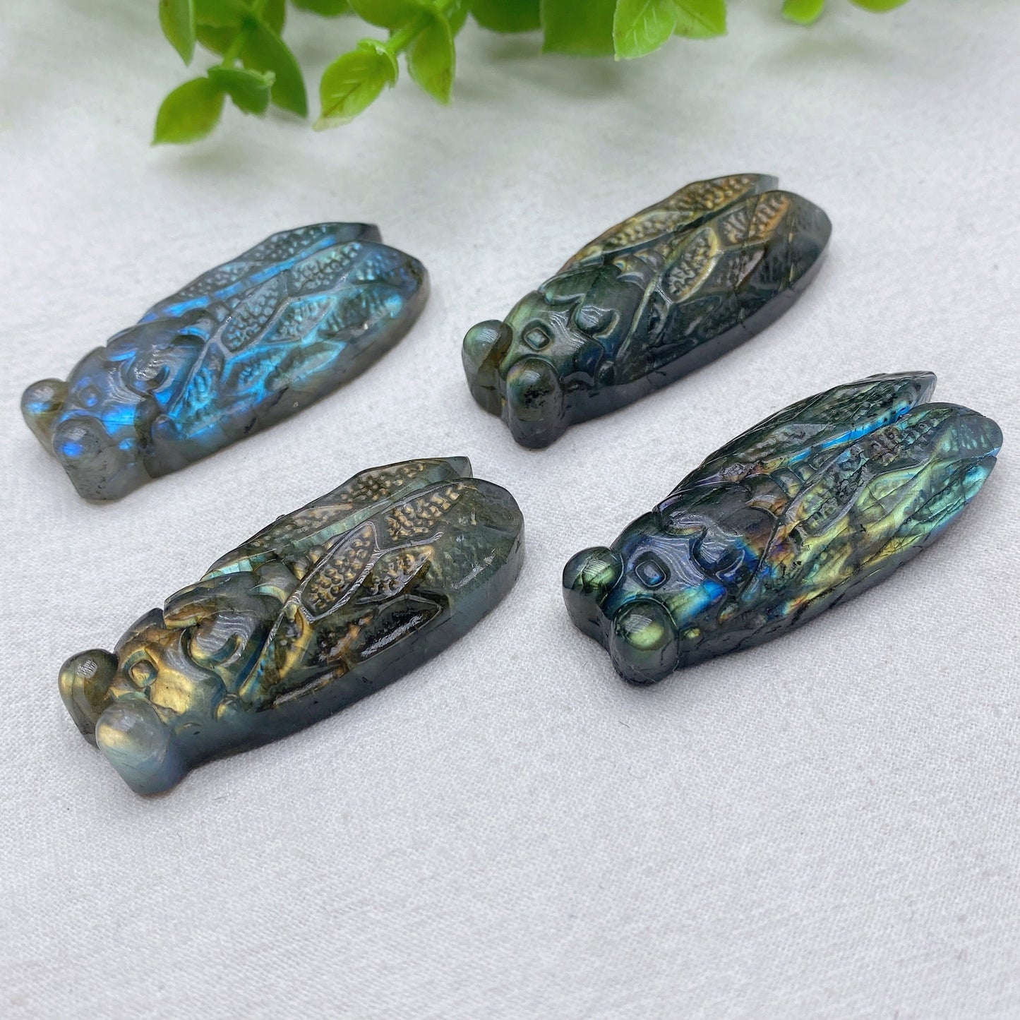 2.0" Blue Flash Red Flash Labradorite Cicada Carvings Bulk Wholesale