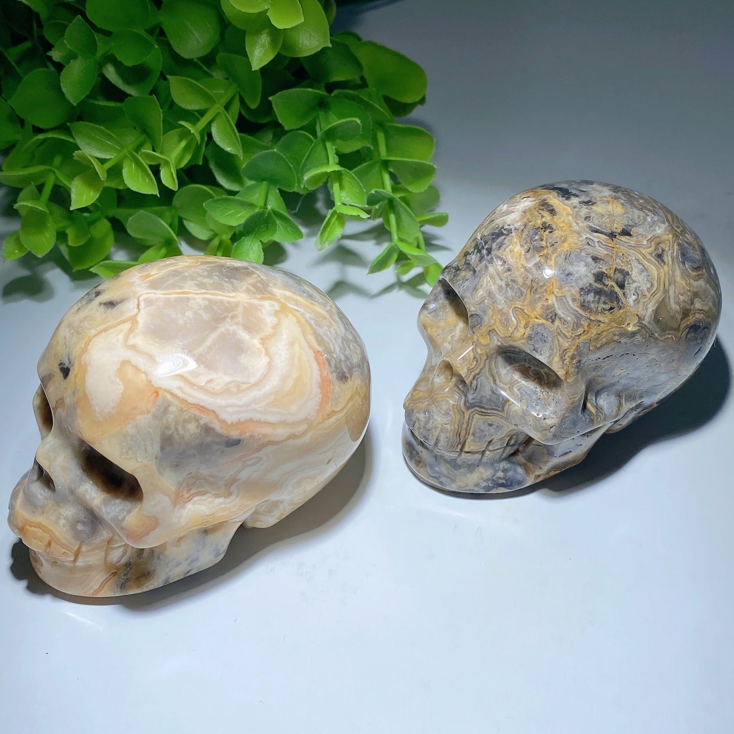 3.2" Crazy Agate Skull Bulk Wholesale