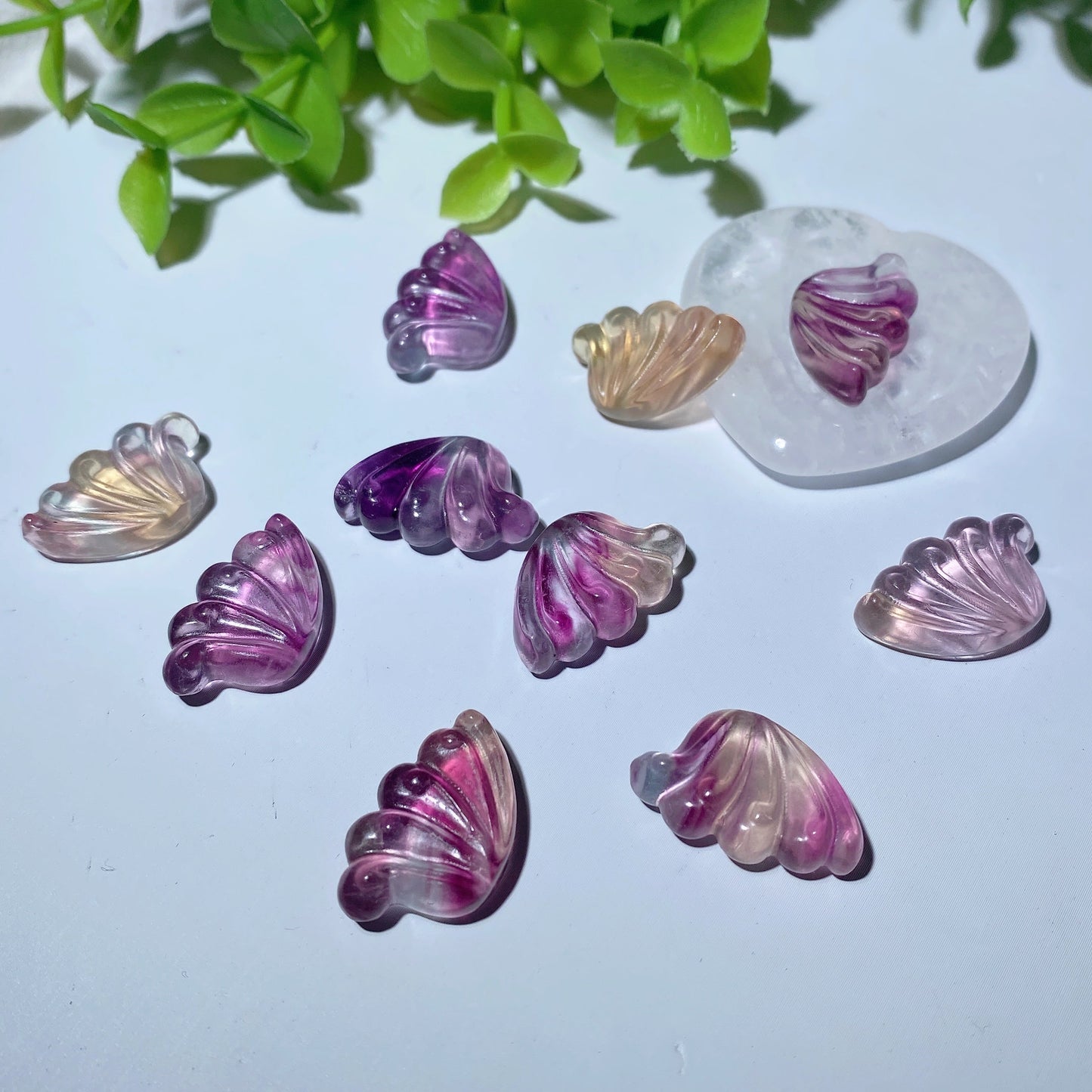 0.8" Mixed Fluorite Wings for Jewelry DIY Bulk Wholesale