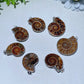 1.3"-1.6" Ammonite Pendant Bulk Wholesale