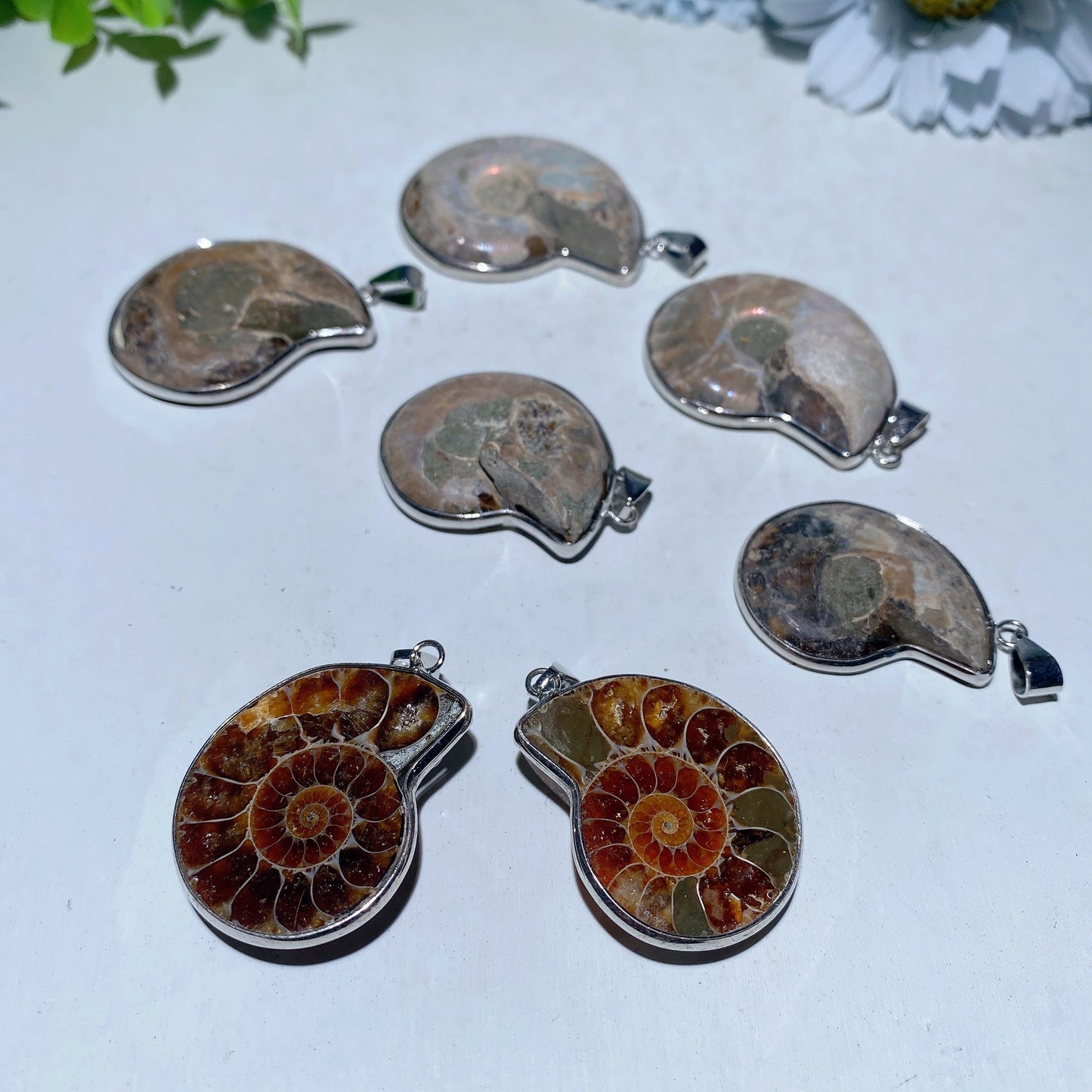 1.3"-1.6" Ammonite Pendant Bulk Wholesale