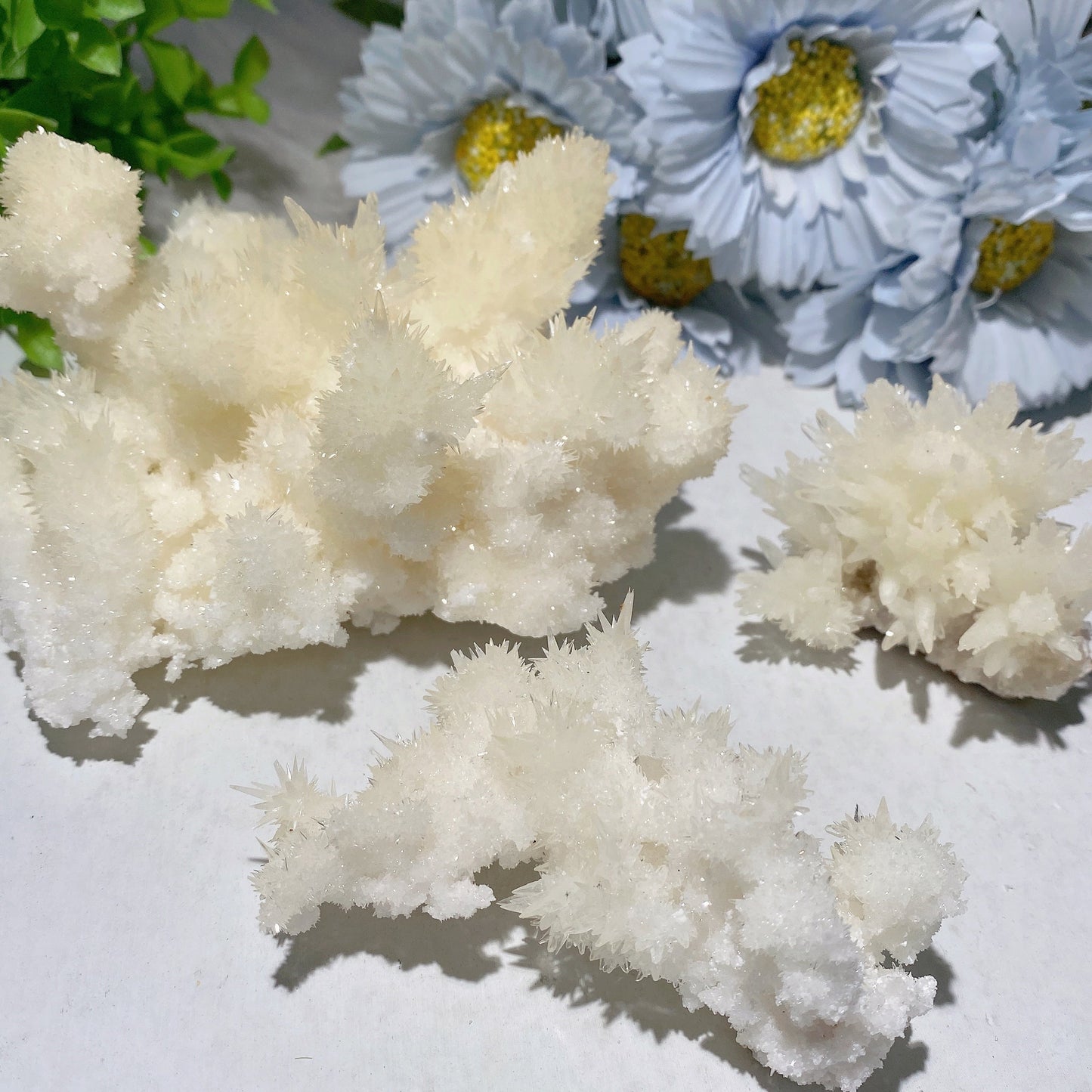 Selenite Growing with Calcite Specimen Bulk Wholesale