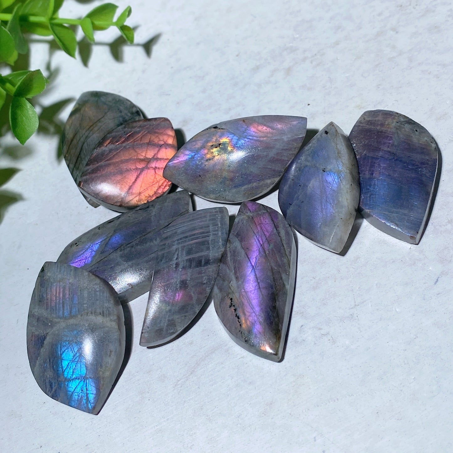 1.0"-2.0" Labradorite Palm Stone Bulk Wholesale