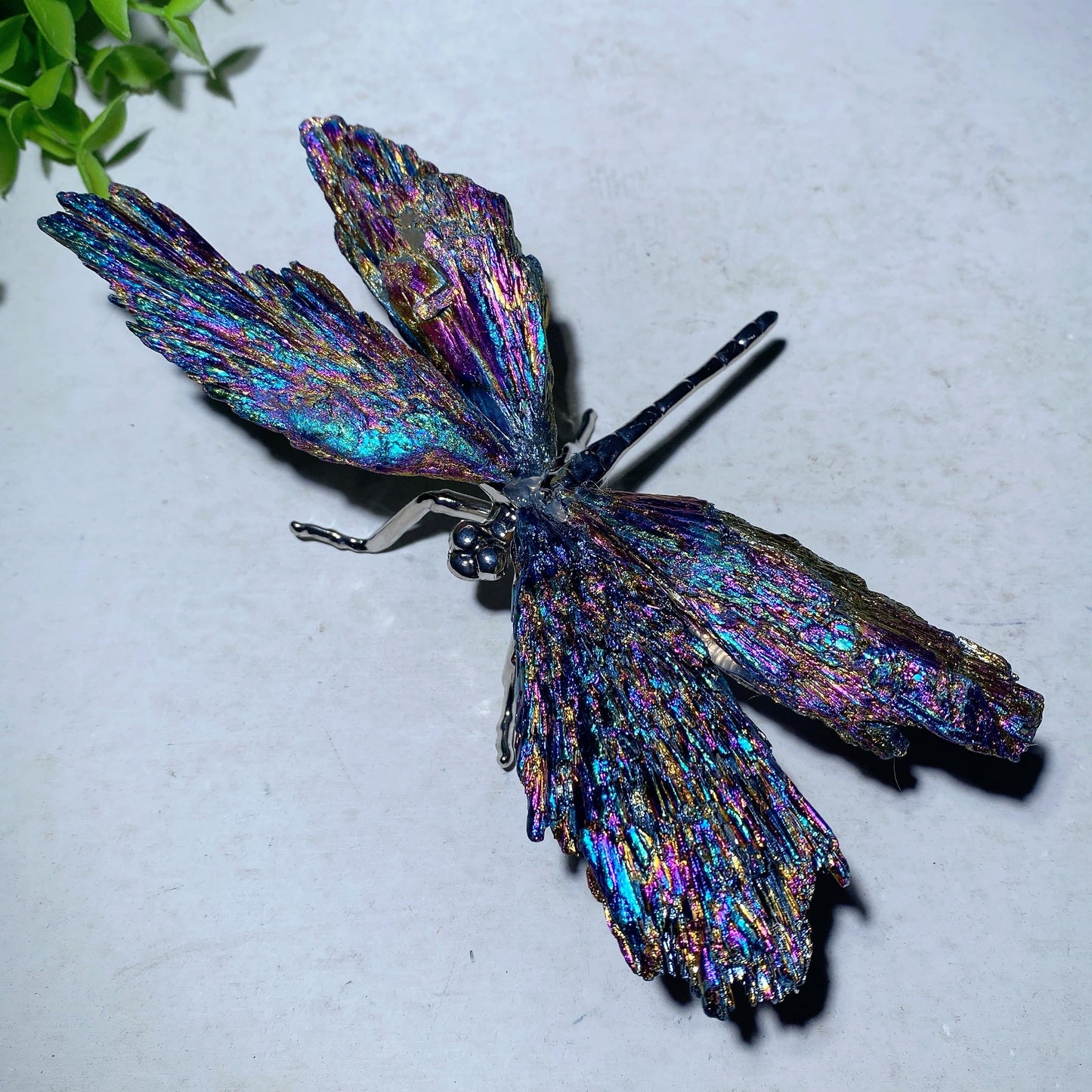 5.2" Aura Kyanite Dragonfly Free Form Bulk Wholesale