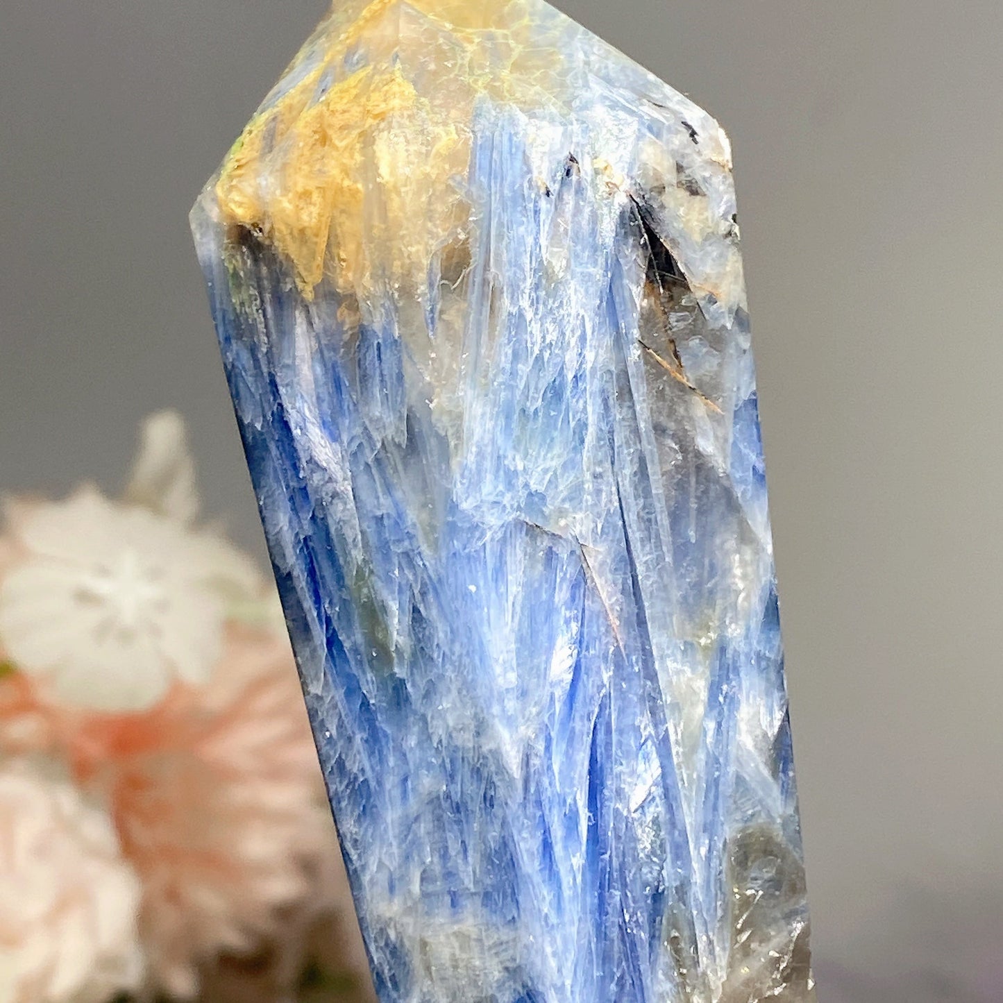 4.5"-6.5" Kyanite Wand with Stand Free Form Bulk Wholesale