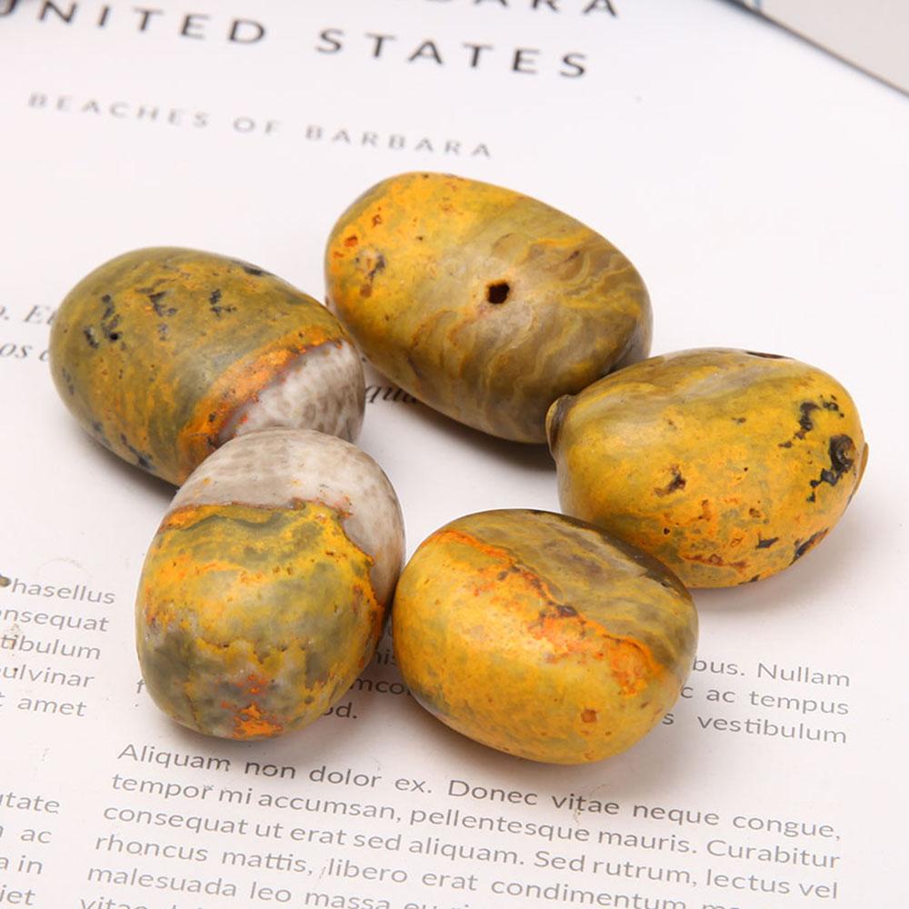 Set of 5 Bumble bee Jasper Tumbled Stone Wholesale Crystals USA