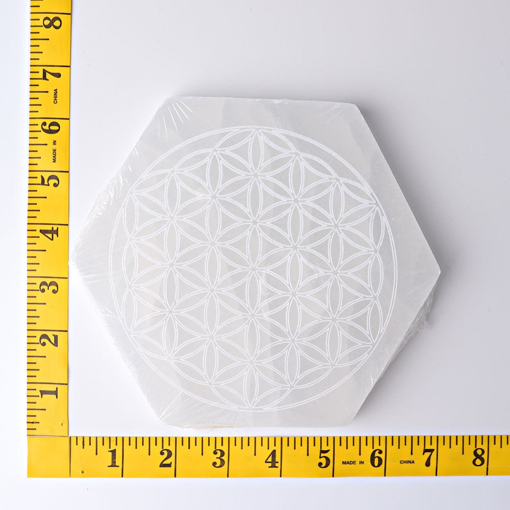 6" Hexagon Selenite Coaster with Printing Wholesale Crystals USA