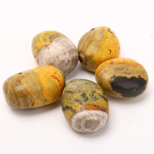 Bumblebee Jasper Tumbled Stone Set of 5 Palm stones Wholesale Crystals USA