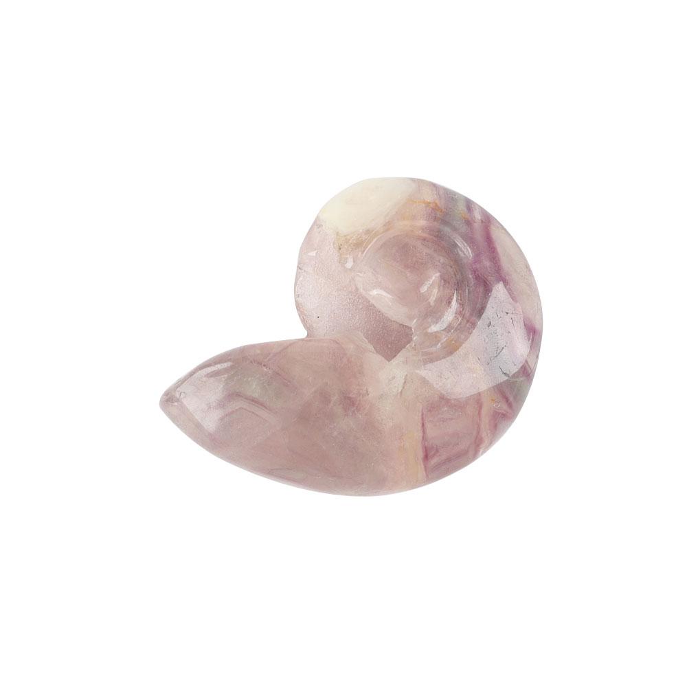 Fluorite Snail Shell Carving