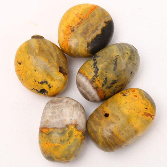 Set of 5 Bumble bee Jasper Tumbled Stone Wholesale Crystals USA