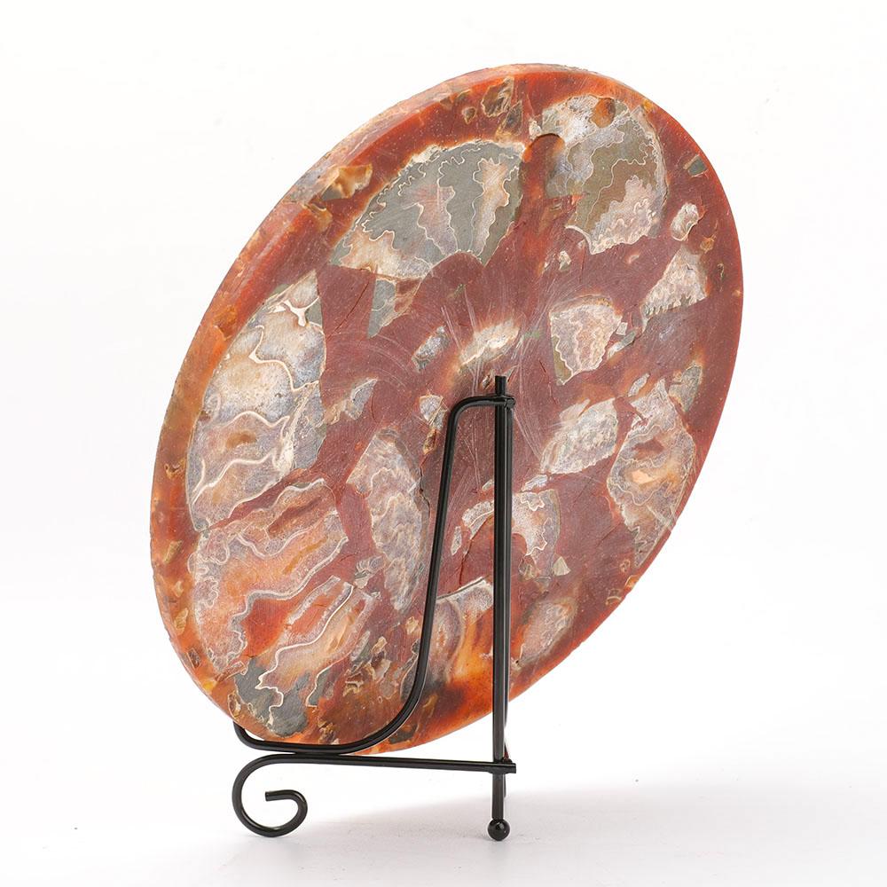 Ammonite Round Plate Free Form Full Set