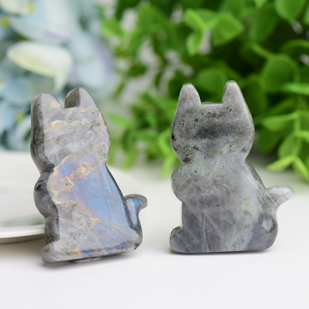 2.3"Labradorite Cat Crystal Carving Wholesale Crystals USA