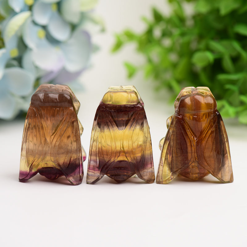 2.0" Fluorite Cicada Crystal Carving Bulk Wholesale Wholesale Crystals USA