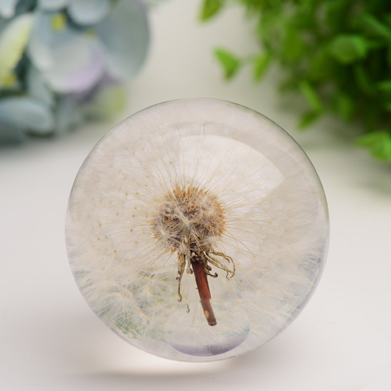 2.6" Resin Sphere with Dandelion Inside Bulk Wholesale Wholesale Crystals USA