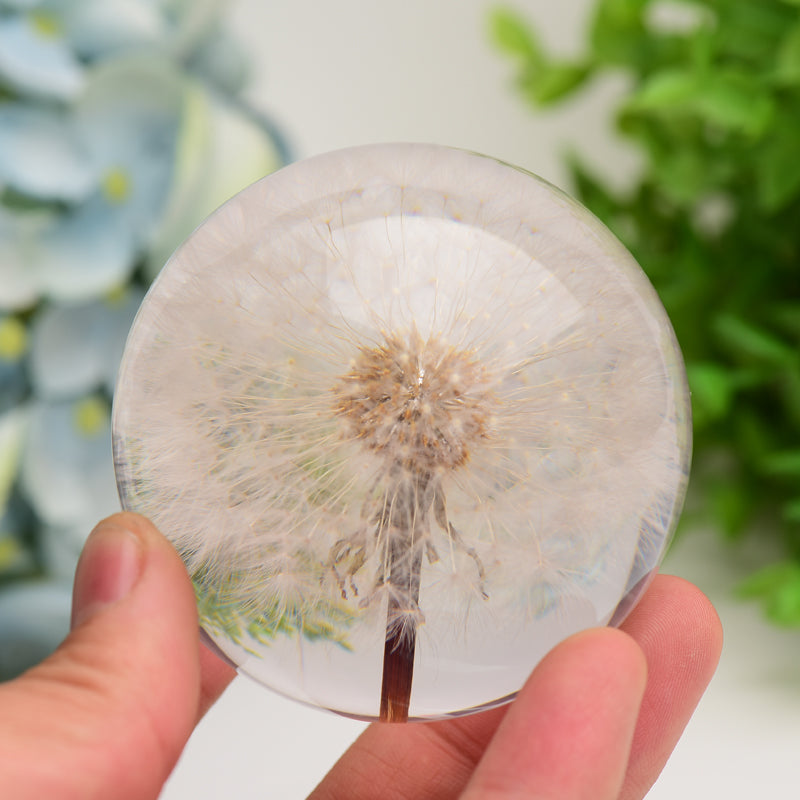 2.6" Resin Sphere with Dandelion Inside Bulk Wholesale Wholesale Crystals USA