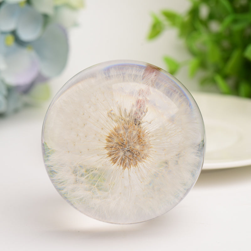 2.6" Resin Sphere with Dandelion Inside Bulk Wholesale Wholesale Crystals USA