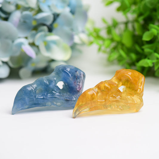 3.0" Fluorite Raven Skull Crystal Carving Bulk Wholesale Wholesale Crystals USA