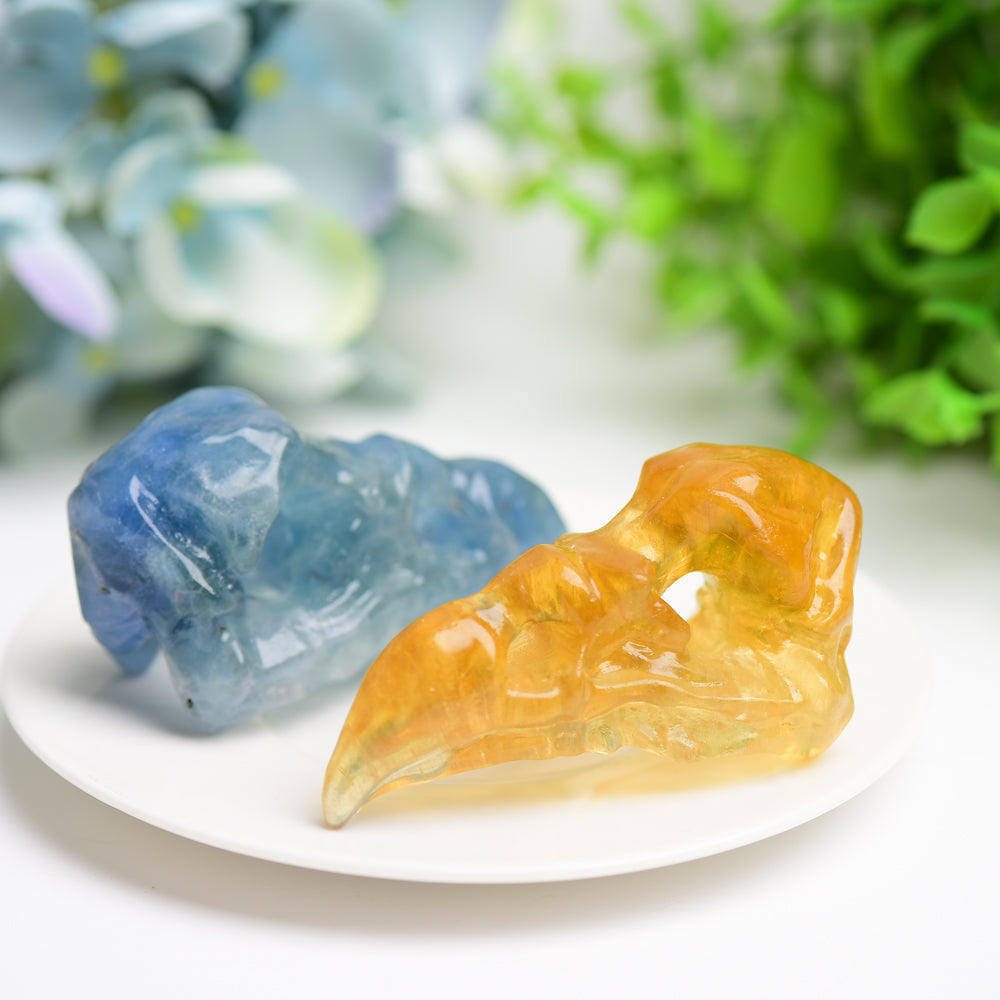 3.0" Fluorite Raven Skull Crystal Carving Bulk Wholesale Wholesale Crystals USA