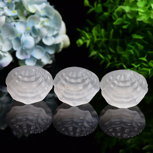 2.4" Selenite Shell Shape Carving Bulk Wholesale Wholesale Crystals USA