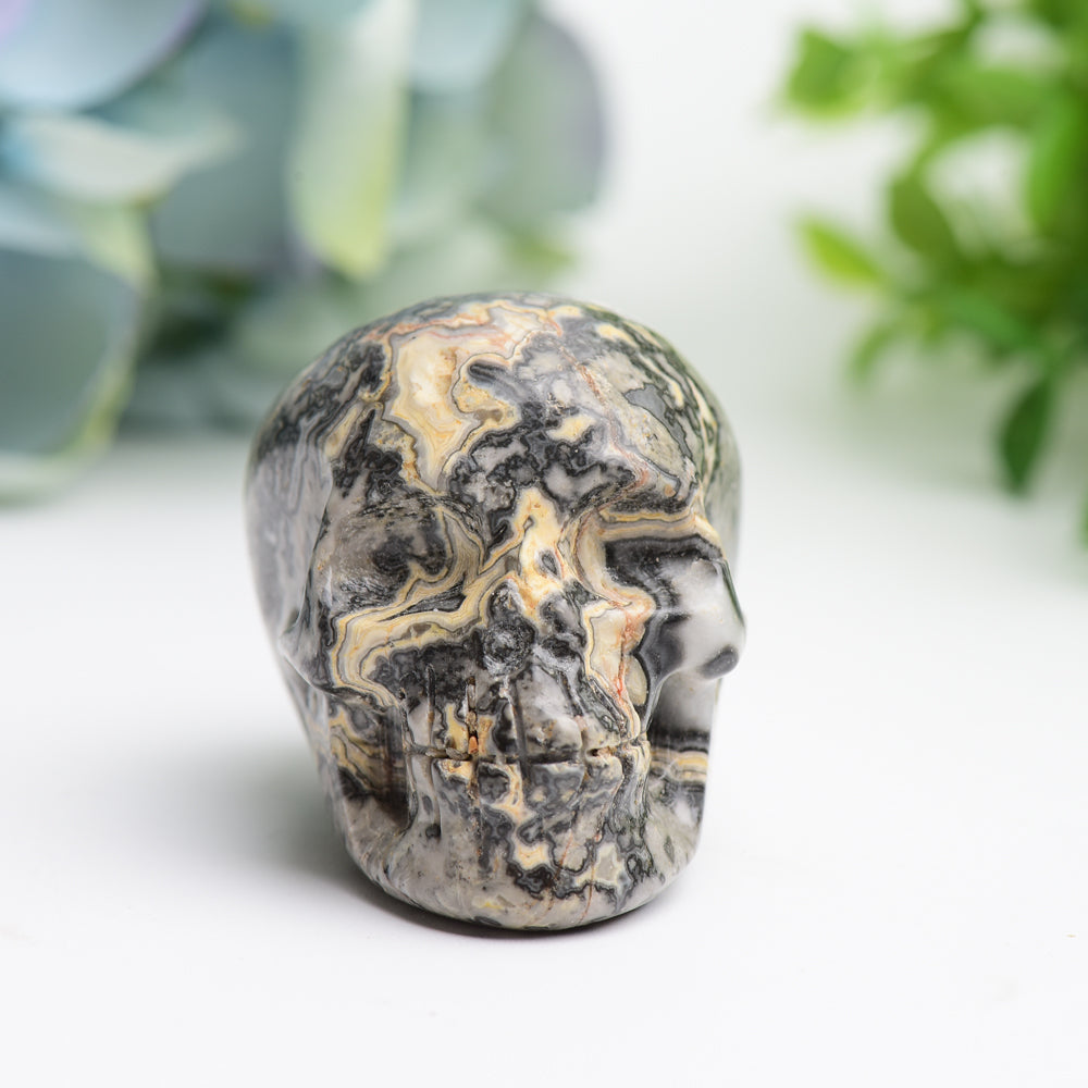 2.0" Piccaso Stone Skull Crystal Carving Bulk Wholesale Wholesale Crystals USA