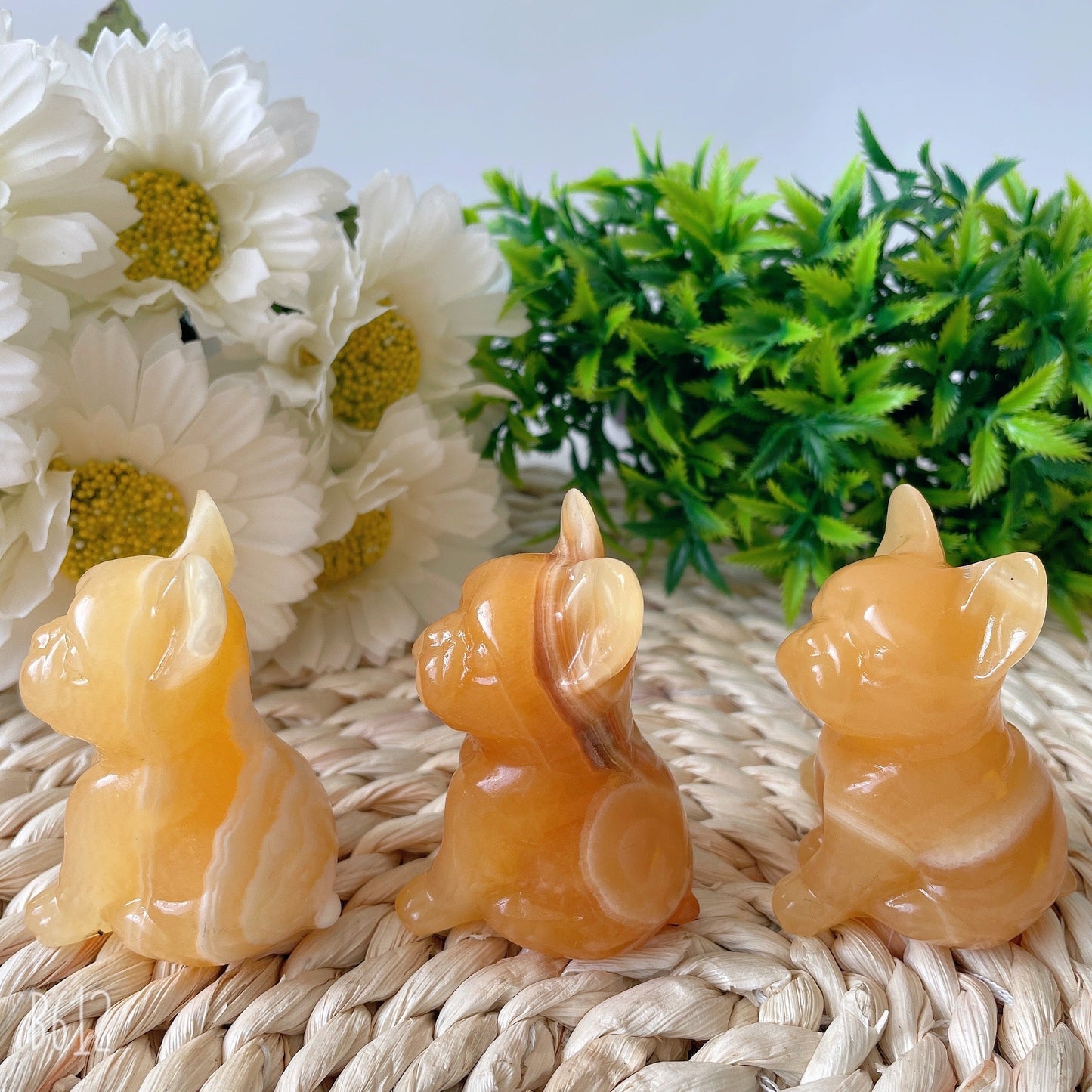 2.4" High Quality Yellow Calcite French Bulldog Carving Crystal Dog For Home Decor Wholesale Crystals USA