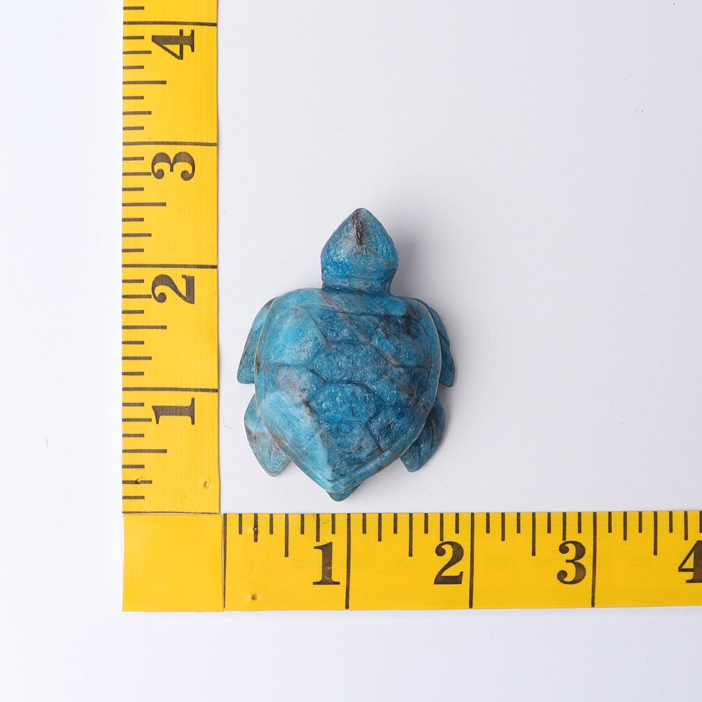 Large Apatite Sea hotsell Turtle