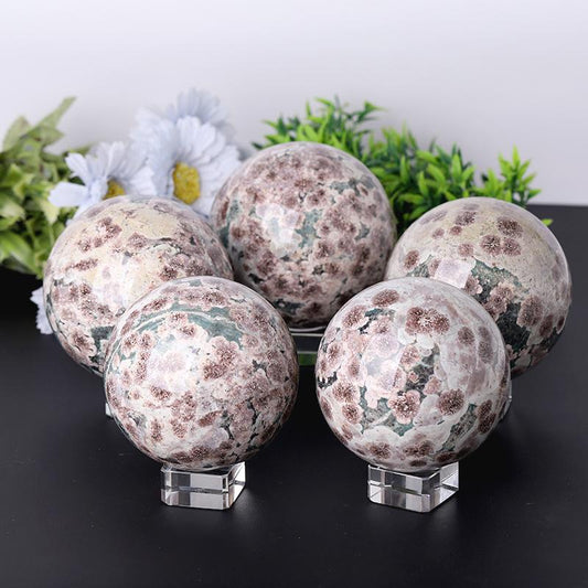 2.5"- 4.0" Firework Agate Sphere Wholesale Crystals USA