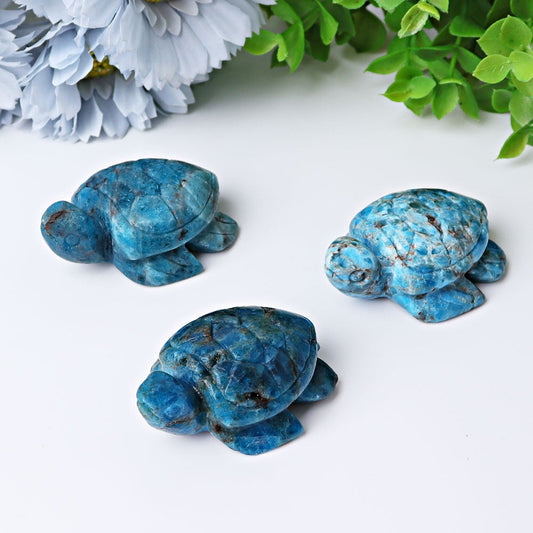 2.3" Blue Apatite Sea Turtle Crystal Carvings Wholesale Crystals USA