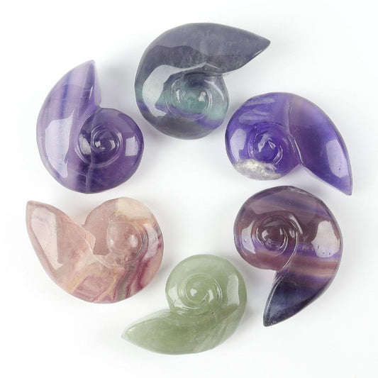 Fluorite Snail Shell Carving